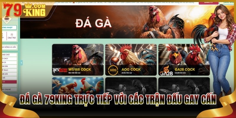 Đá gà 79King trực tiếp với các trận đấu gay cấn