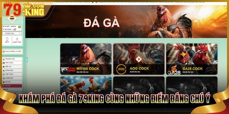 Khám phá Đá gà 79King cùng những điểm đáng chú ý 