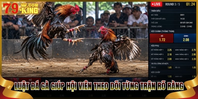 Luật đá gà giúp hội viên theo dõi từng trận rõ ràng