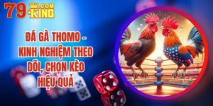 Đá Gà Thomo