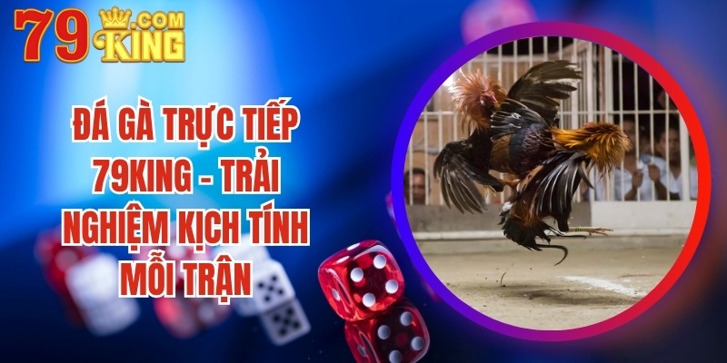 Đá Gà Trực Tiếp